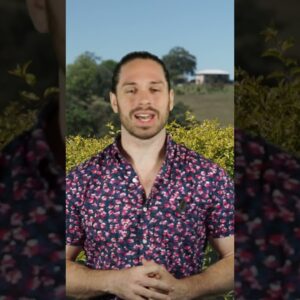 maxresdefault 65