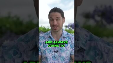 maxresdefault 78